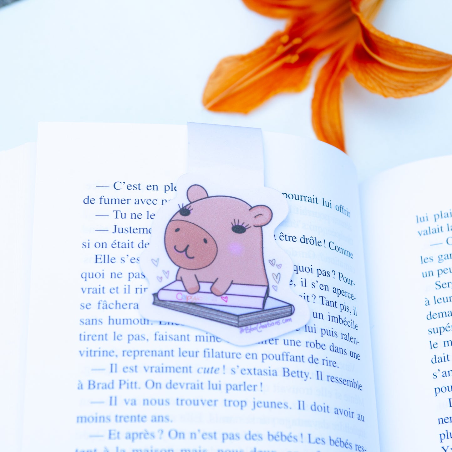 Signet magnétique stylé - Fait main - Amateurs de lecture - Cadeau parfait
