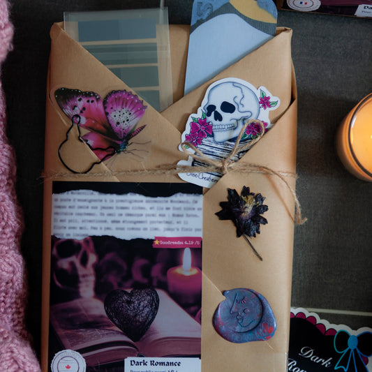 Blind Date with a Book – Dark Romance Edition (18+) - Adult book -