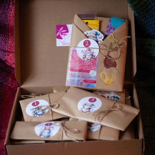 12-Day Advent Calendar - Blind date with a book - Bookish surprises - Holiday Special