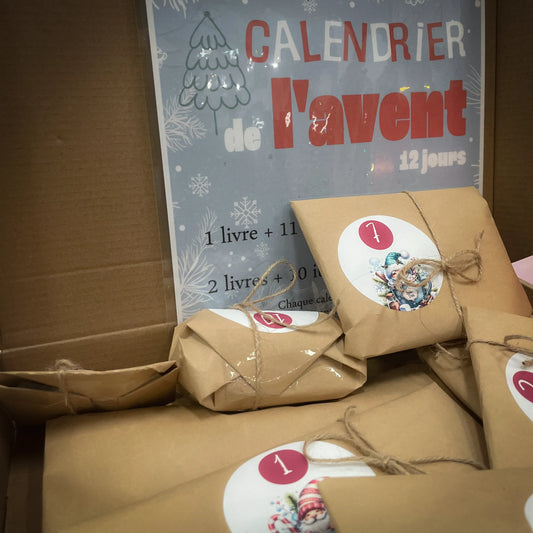 12-Day Advent Calendar - Blind date with a book - Bookish surprises - Holiday Special