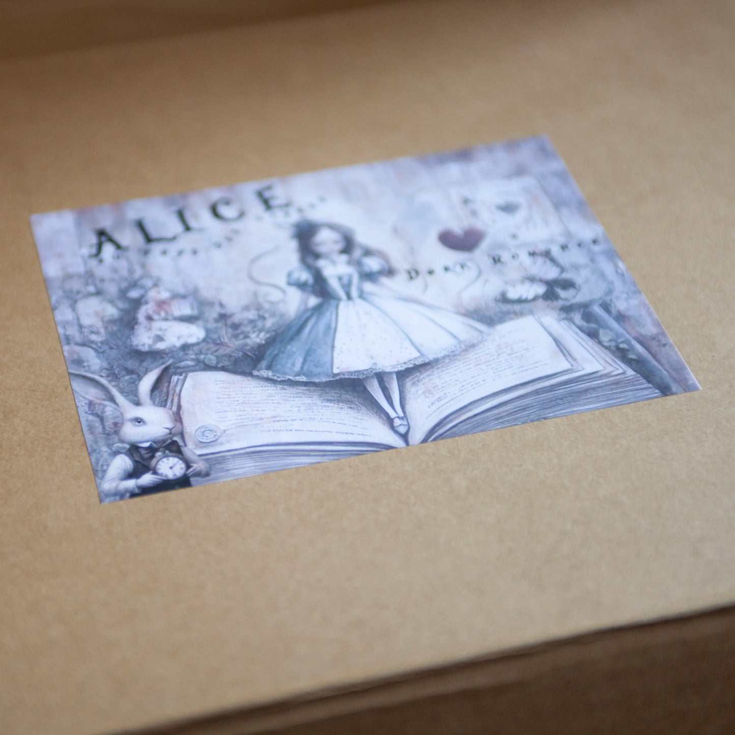 ALICE AU PAYS DES LIVRES - ÉDITION DELUXE - DARK ROMANCE 18+ (FRANÇAIS) - Boîte thématique Deluxe - Édition limitée