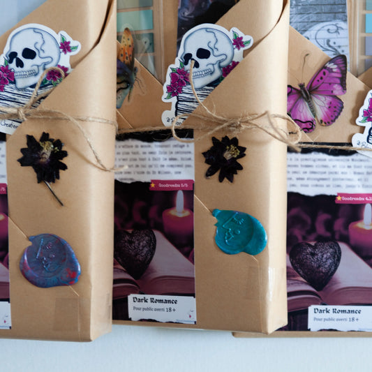 Blind Date avec livre - Édition Dark Romance (18+) - Livre pour adulte