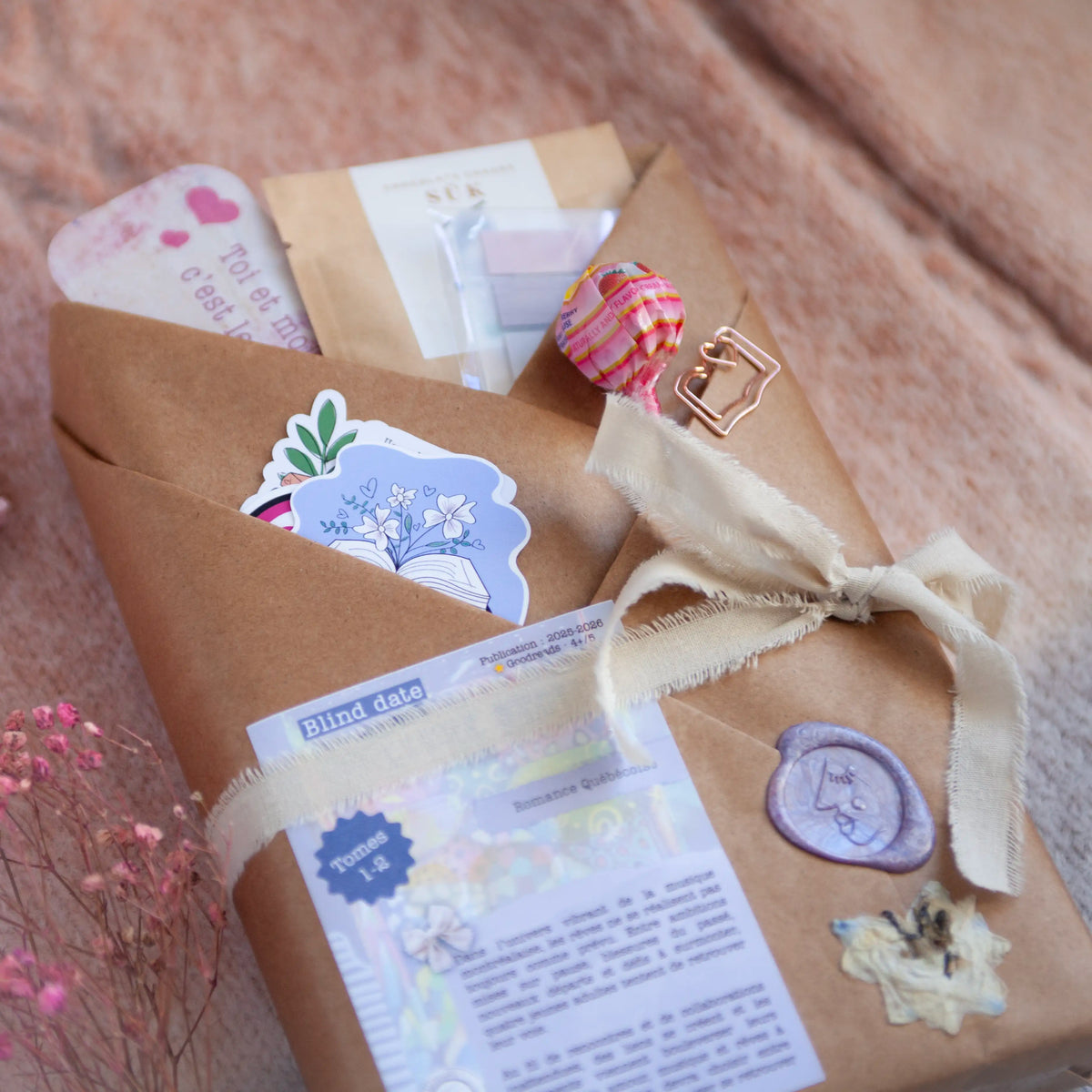 Book Duo - Romance - Blind Date with 2 Pre-Loved Books - Canadian Author - French book