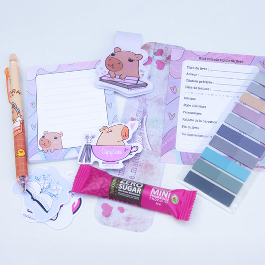 Le kit du mordu de lecture - Capybara - Fait main - Papeterie - Livre - Kindle