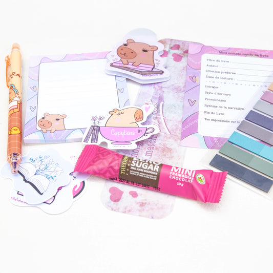 The Book Lover’s Kit - Capybara style - Handmade - Stationery - Book - Kindle