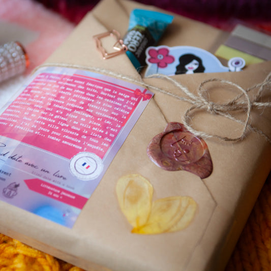 Christmas Romance - Blind date with a book - Advent Calendar Book - French Author - 14 years+